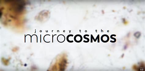 Journey to the Microcosmos! A Dive into Biological Wonder and Educational Fun